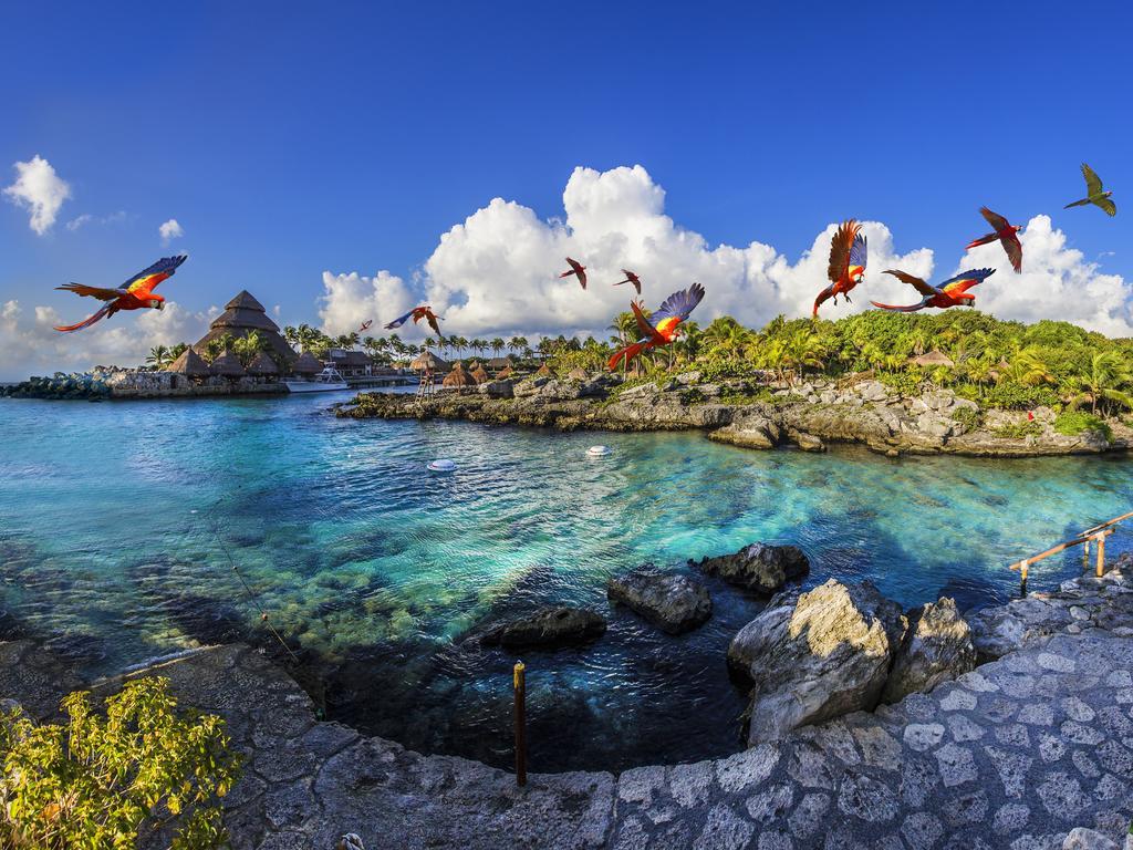 Occidental At Xcaret Destination - 5*