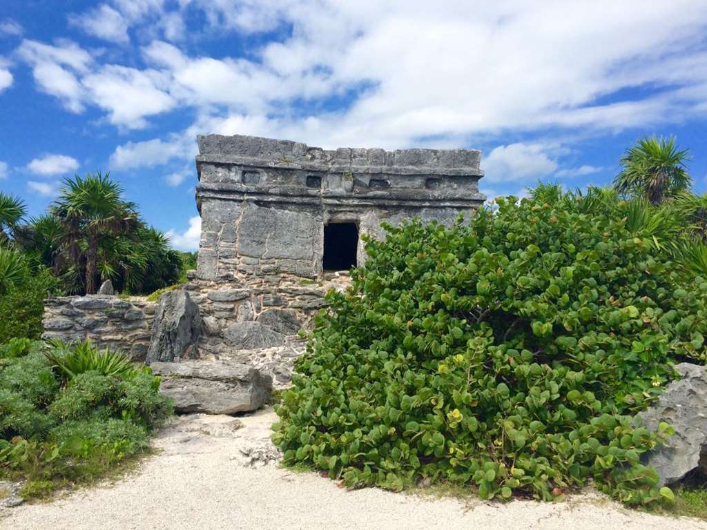 Occidental At Xcaret Destination Resort Xcaret Park